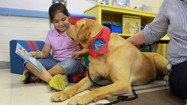children therapy dog in schools