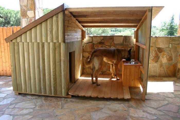 shepherd dog in custom dog house