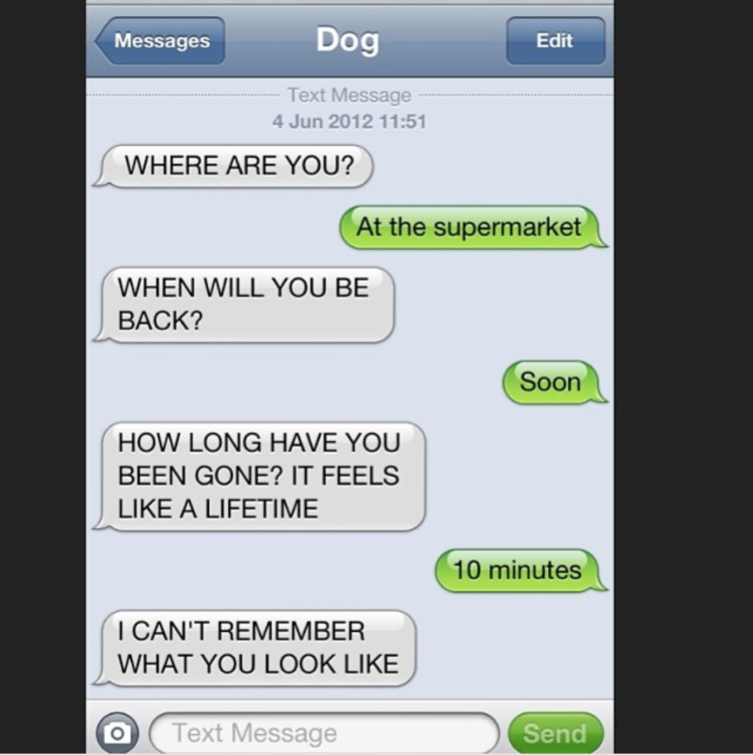example text from dog about owner being gone