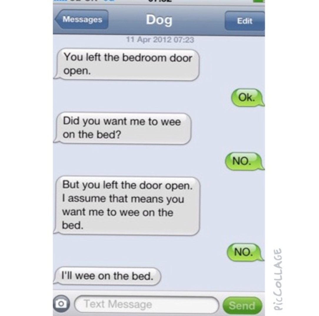 screenshot of text about dog peeing on the bed