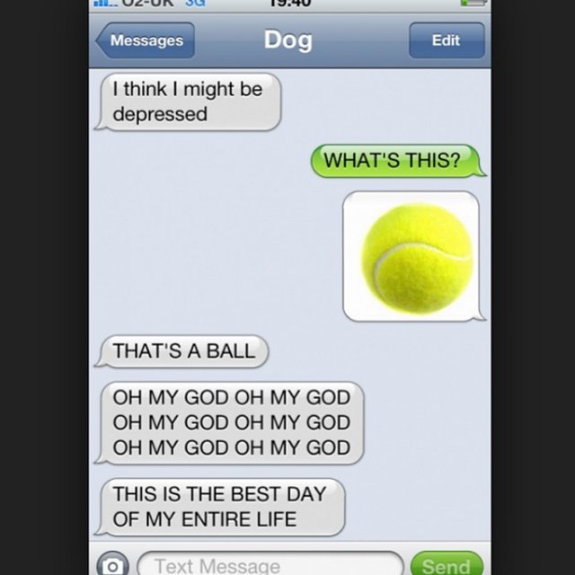 example text from a dog about tennis ball