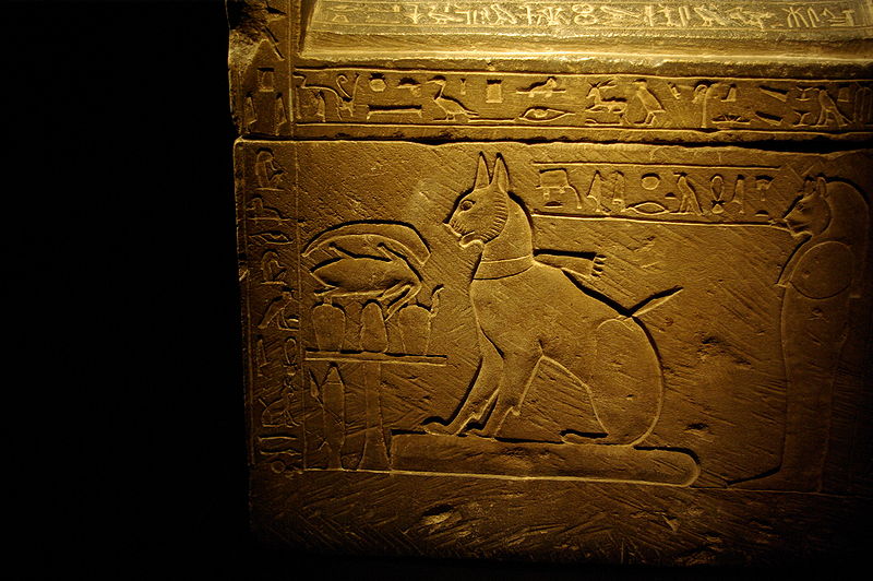 Egyptian wall carvings of a cat
