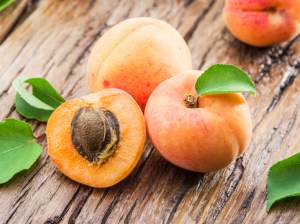 can dogs eat apricot