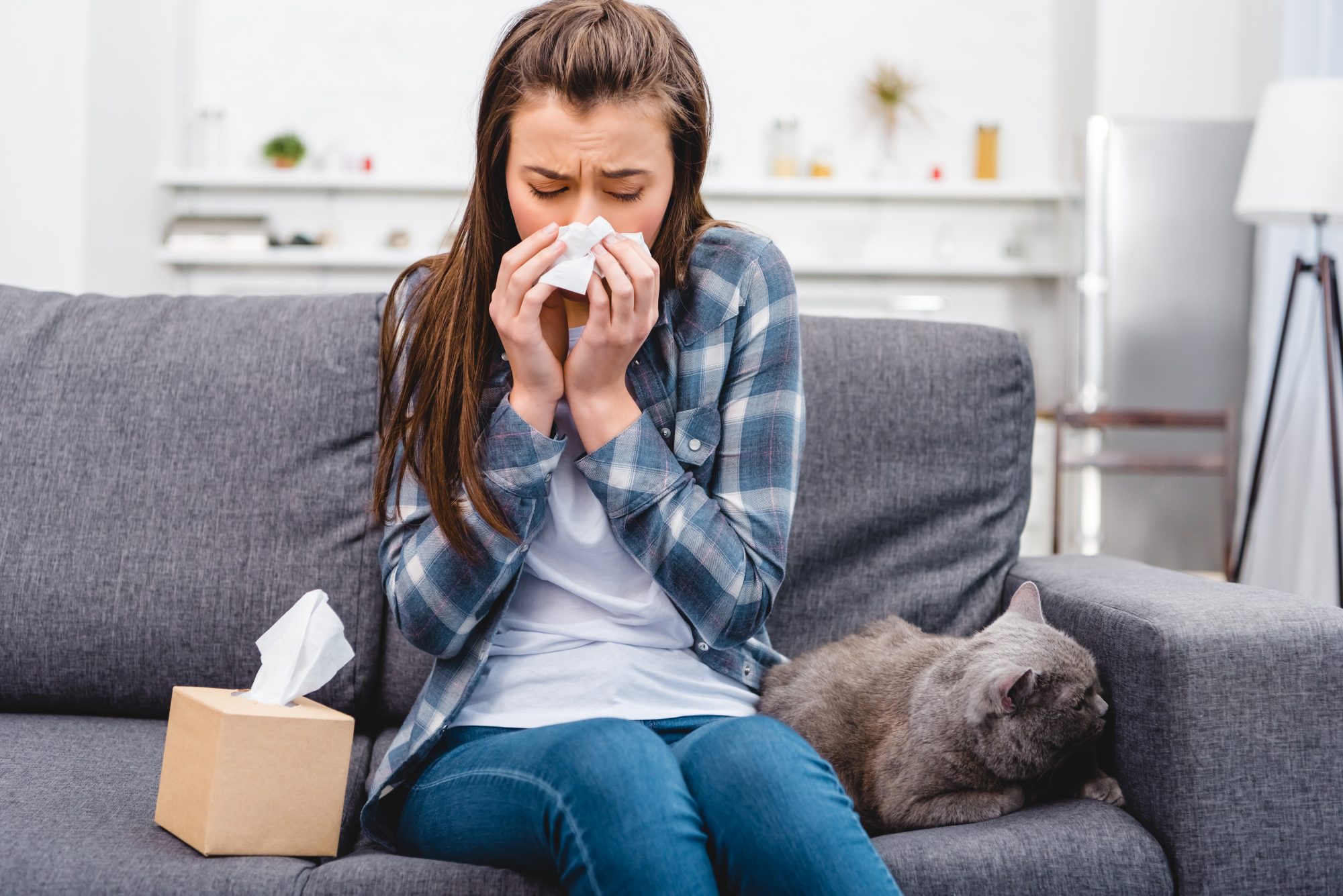 girl blowing nose in facial tissue while sitting with cat on couch