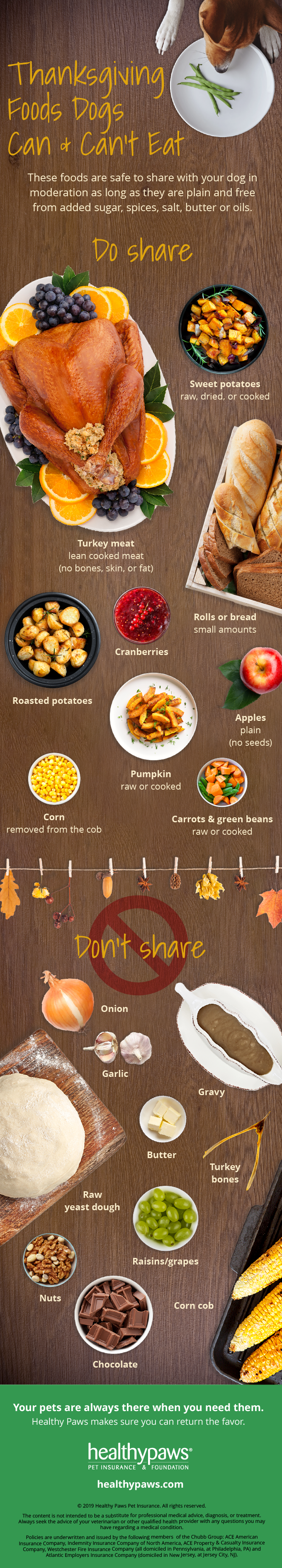 Thanksgiving foods pets infographic