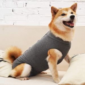 shiba inu dog in gray recovery body suit