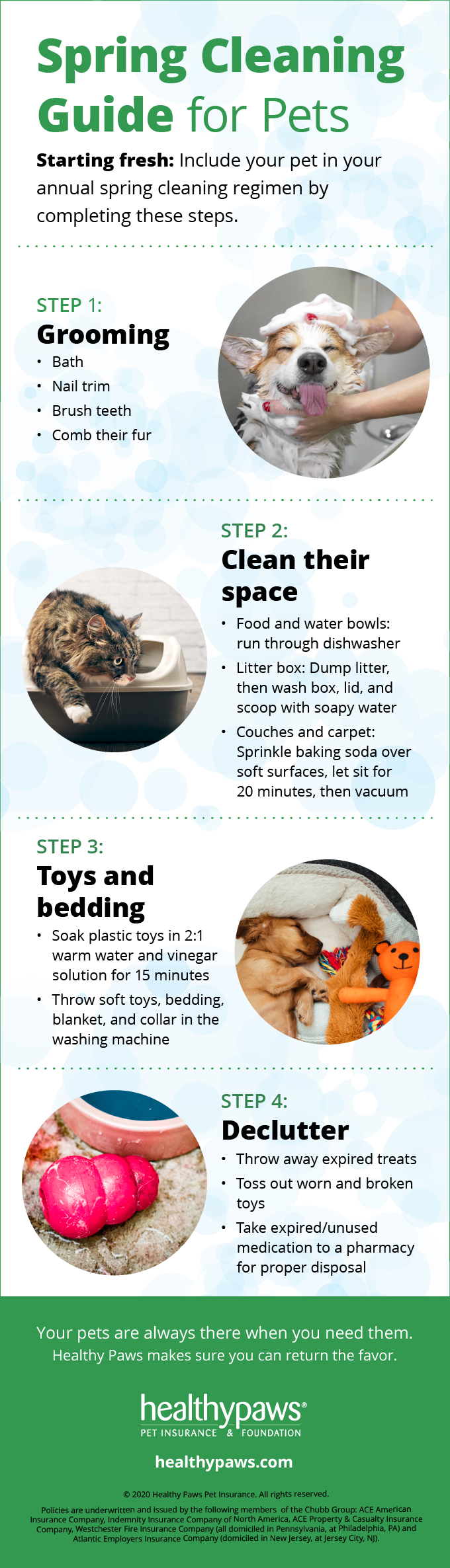 Infographic: Spring Cleaning for pets