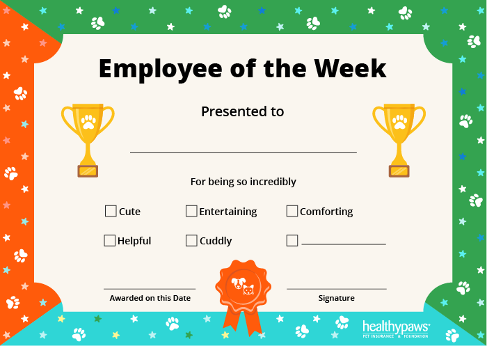 pet employee of the week certificate in color
