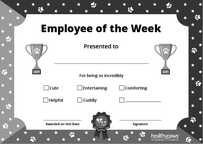 pet employee of the week certificate