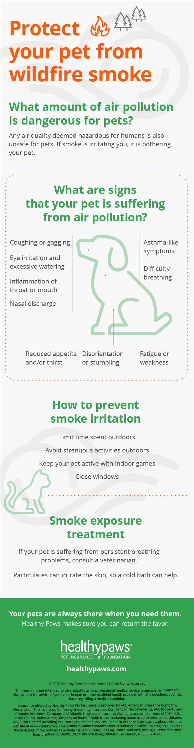Infographic: Protect your pet from wildfire smoke