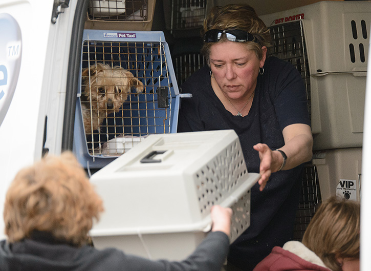 Unloading rescued dogs