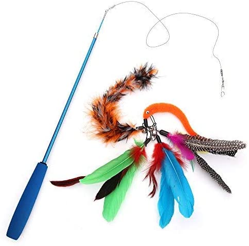 cat feather pole toy