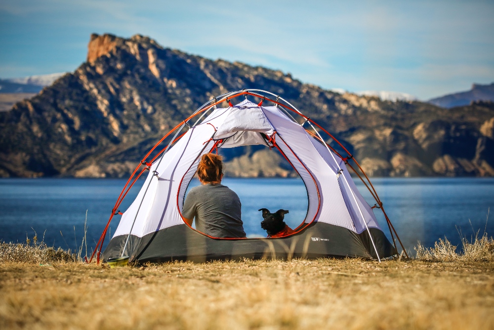 woman and dog in a tent with mountain view