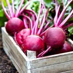 beets in a box
