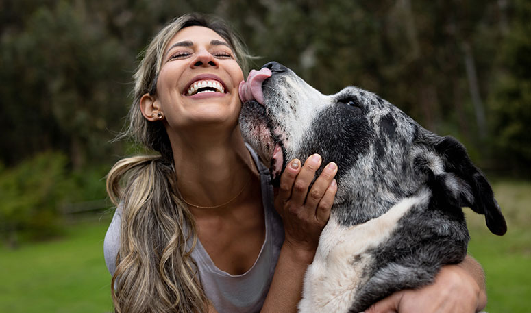 Great Dane with woman