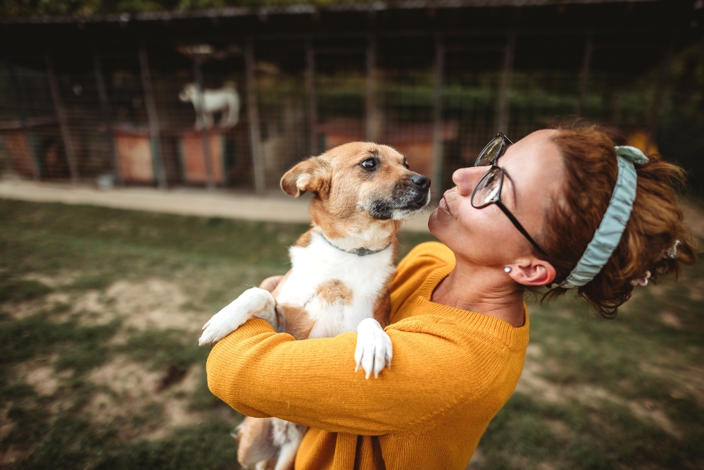 woman holding terrier mix at the shelter