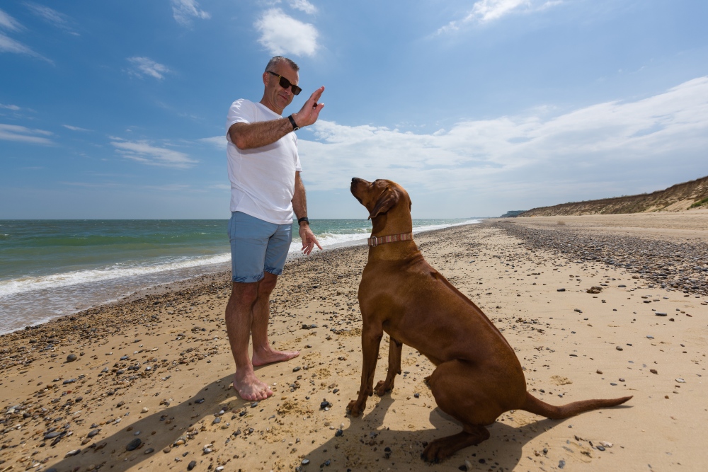 Man and Rhodesian ridgeback dog on beach