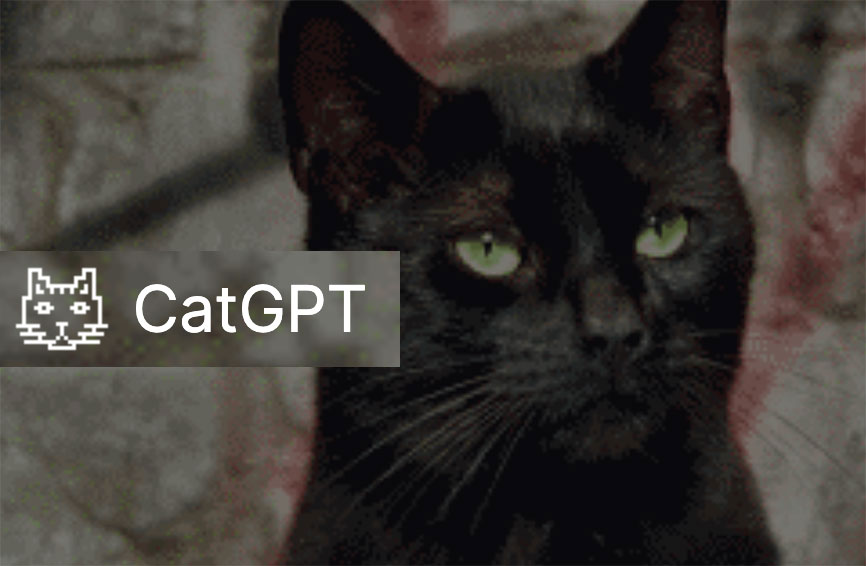 Screenshot of CatGPT