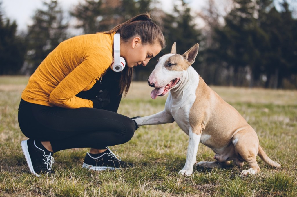 Woman doing exercises outdoors with her bull terrier dog