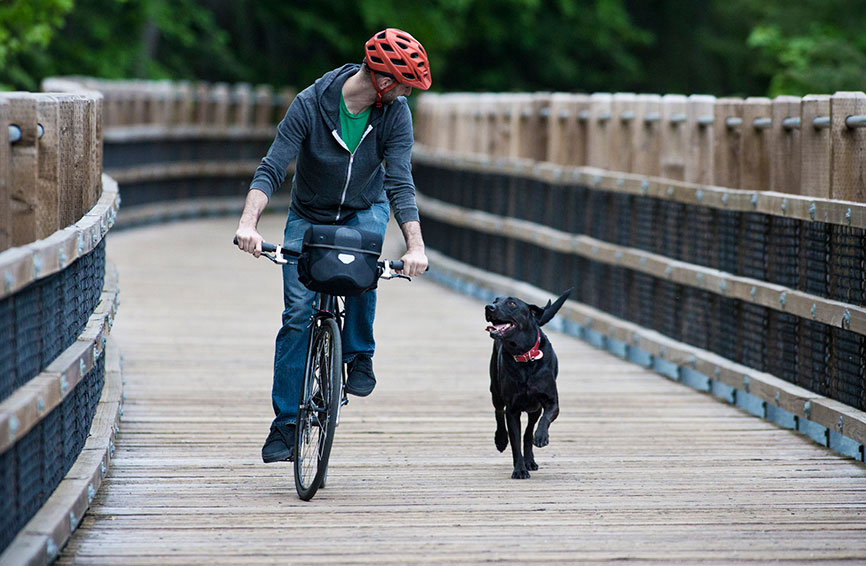 A dog running alongside a man on a bike.
