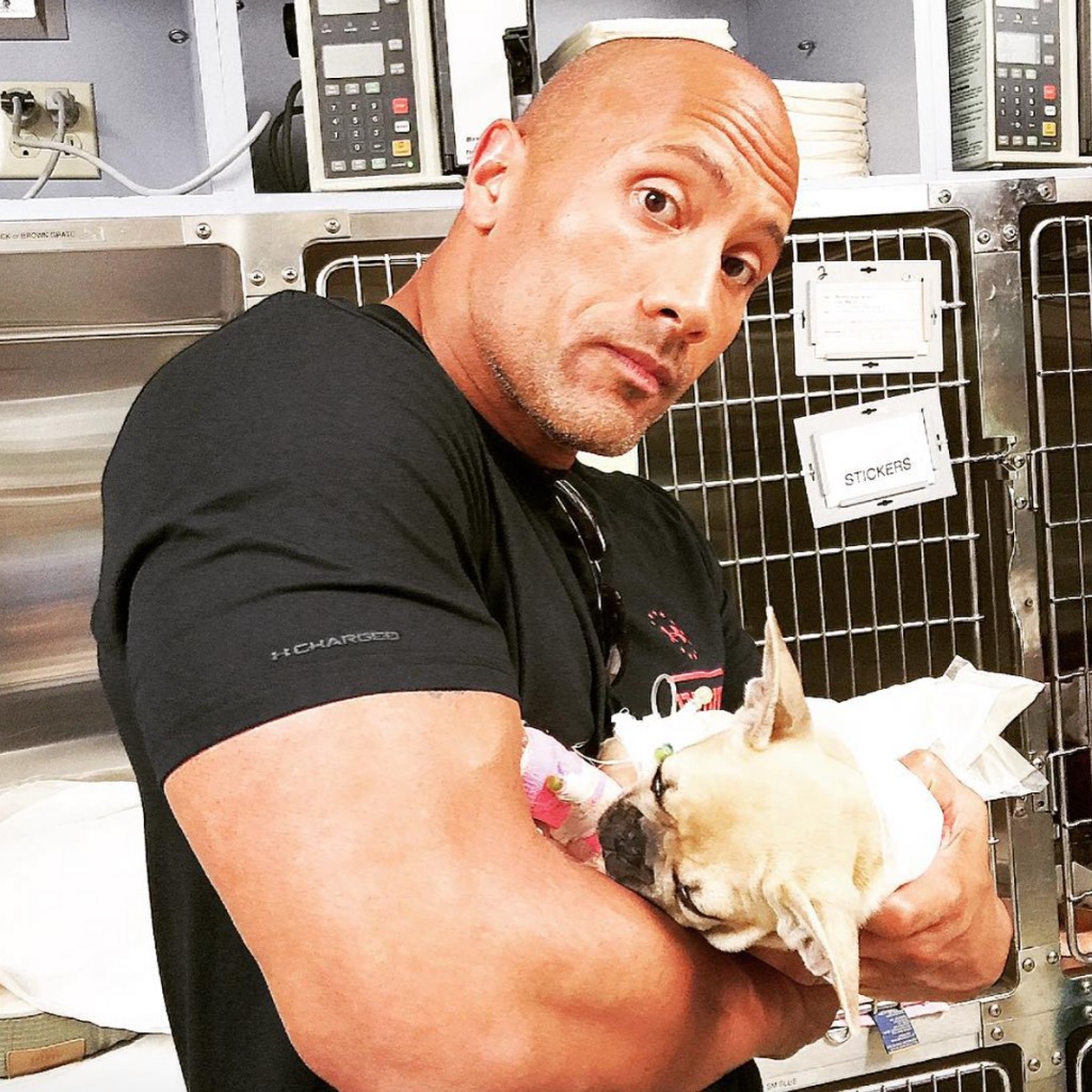 Dwayne "The Rock" Johnson's dog