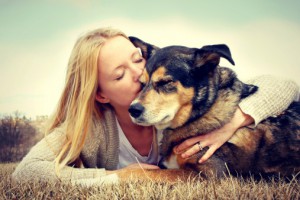 pet-insurance-u-names-healthy-paws-best-pet-insurance-for-2016