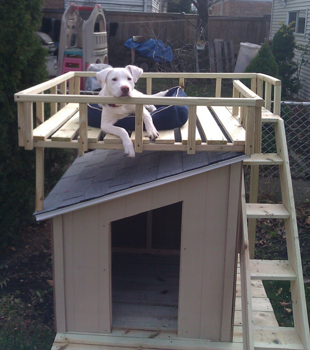 DIY dog house with deck