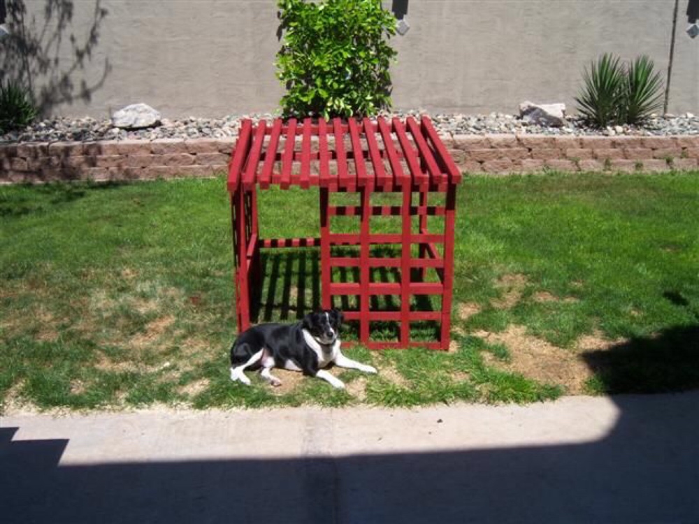 DIY open air dog house