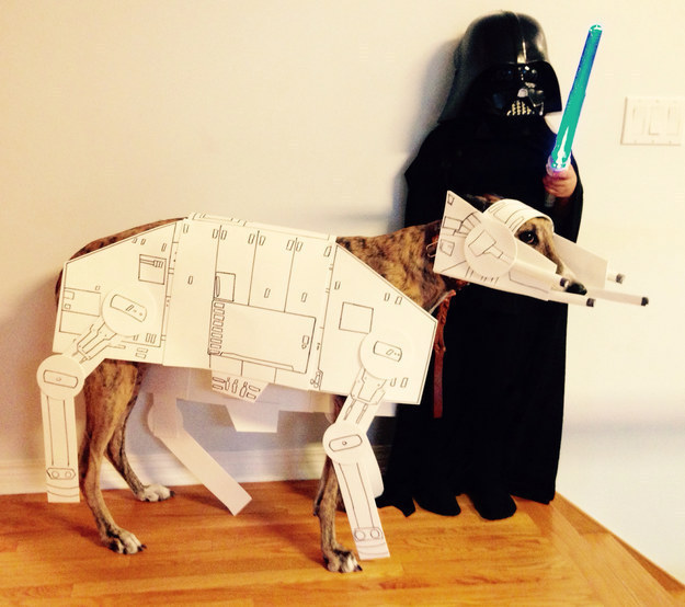 Star Wars dog Halloween costumes
