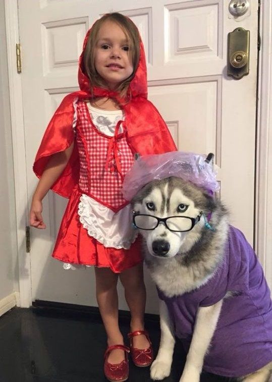 Little Red Riding Hood Halloween costume for dogs and kids