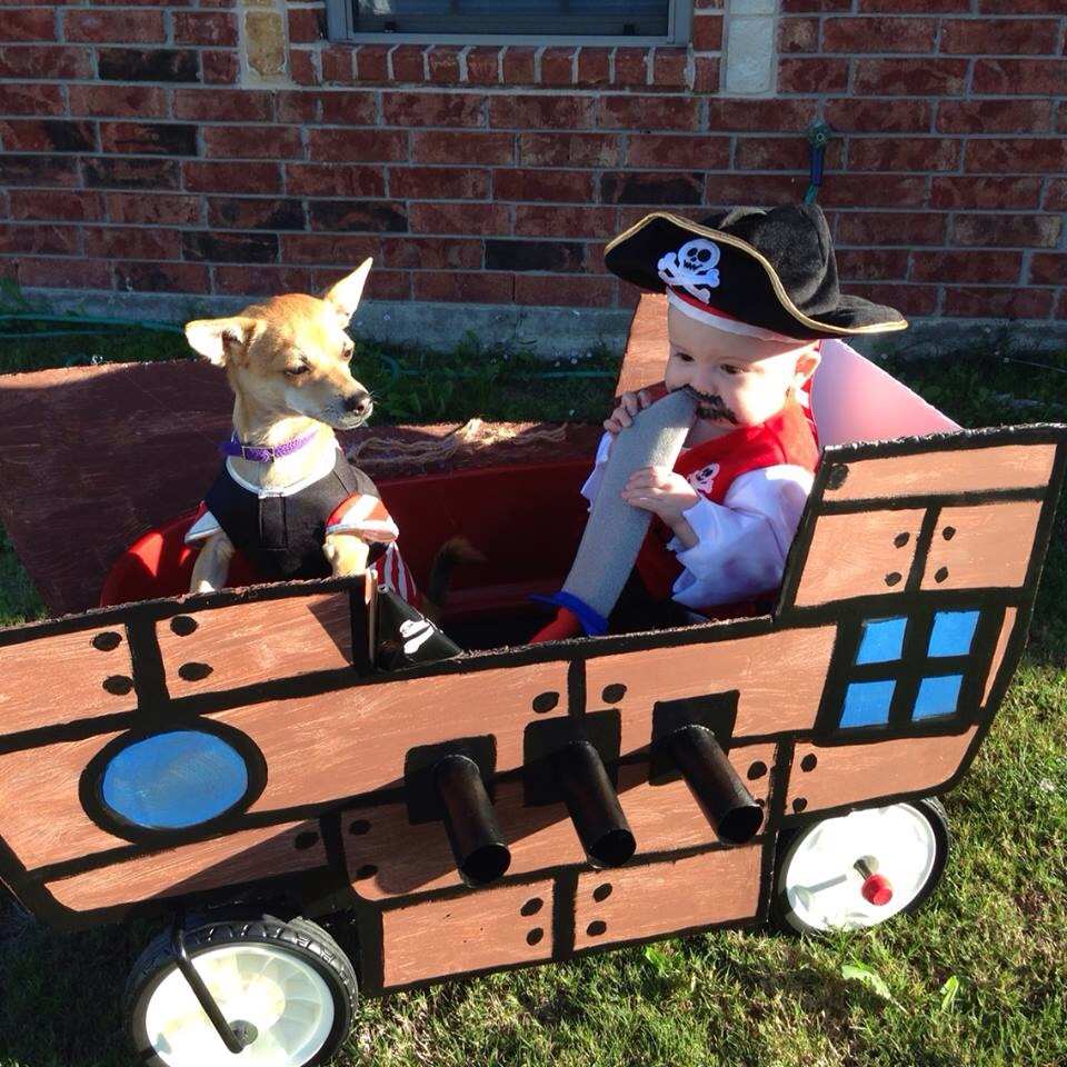 Pirate and first mate Halloween costumes for dogs and babies