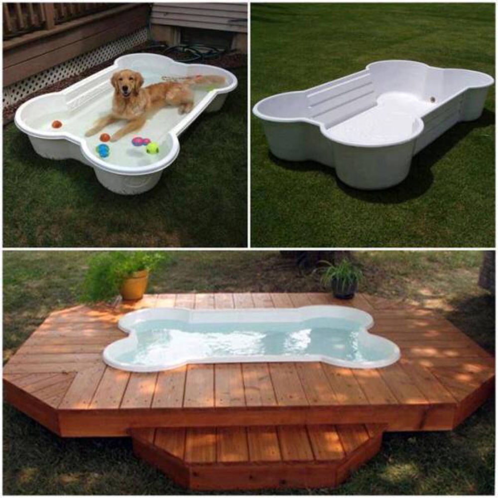 dog bone swimming pool and deck